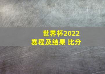 世界杯2022赛程及结果 比分